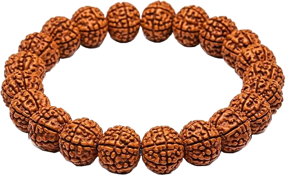 7 Mukhi Rudraksha Bracelet